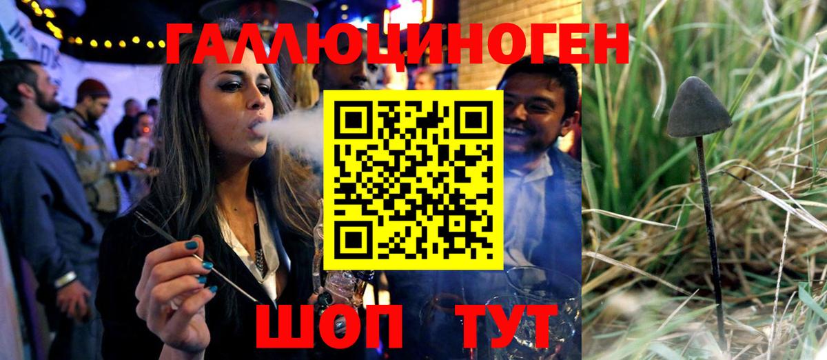 Галлюциногенные грибы GOLDEN TEACHER Алатырь