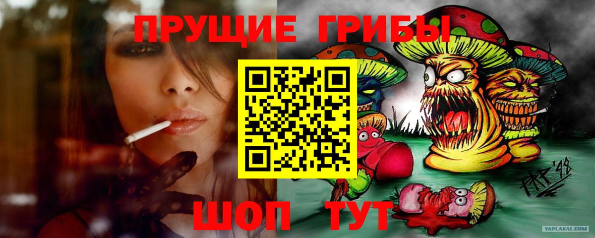 Алатырь  Галлюциногенные грибы прущие грибы  Вход с VPN 