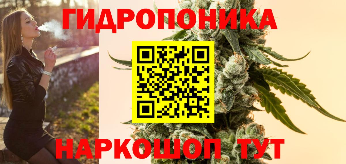 Бошки марихуана VHQ  Конопля гибрид  Вход с VPN  Алатырь  Шишки марихуана Ganja 